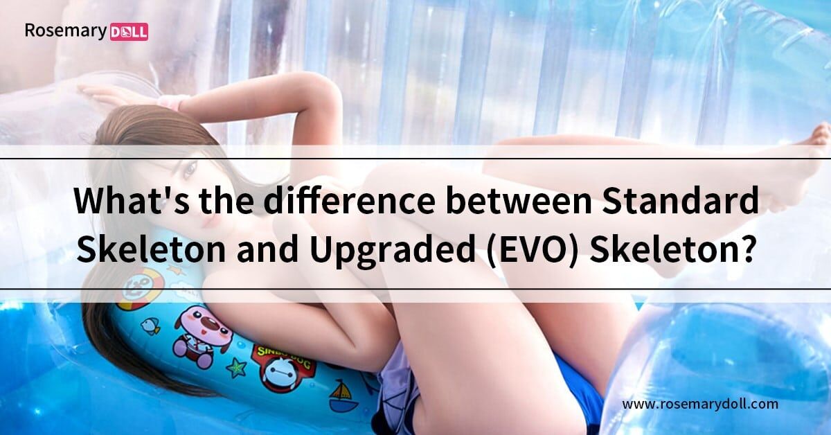 What's the difference between Standard Skeleton and Upgraded (EVO) Skeleton