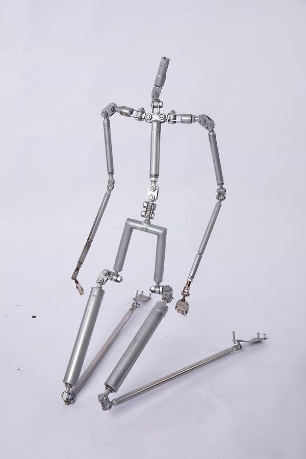 metal skeleton sex doll Kitty main image 0