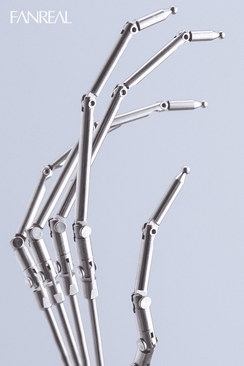 Ball Jointed Hand Skeleton