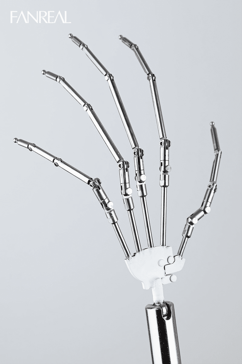 Ball Jointed Hand Skeleton